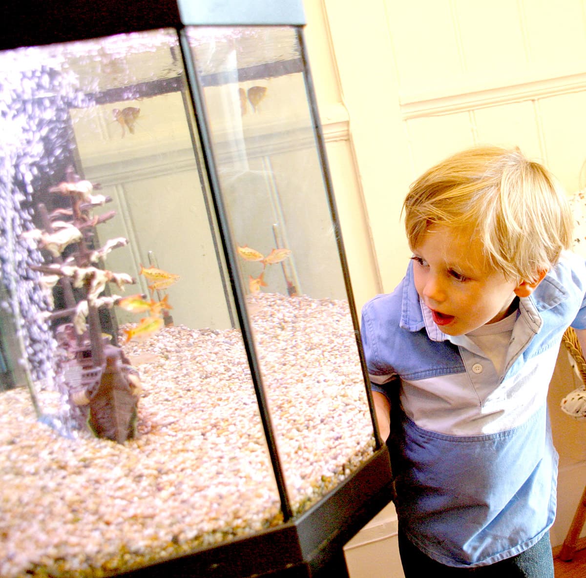 childrens_hairsalon_london_3318_RJ